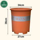  Chậu Nhựa Trồng Cây VIETPOT, size lớn 34x36cm MONTARIO, 6,6gallon, trang trí bàn, sân vườn, ban công 