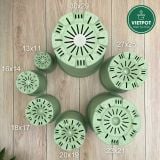  Chậu nhựa trồng cây VIETPOT, xanh Mint hoa văn tim, kiểng lá, hoa hồng, để bàn,ban công sân vườn. 