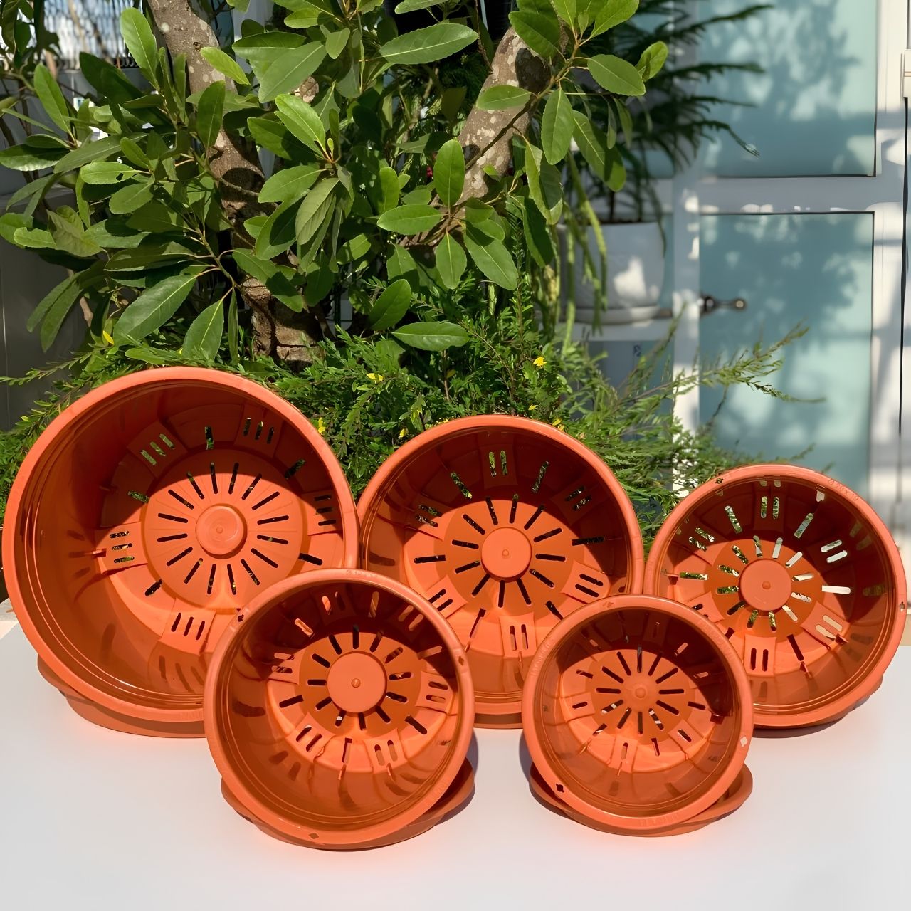  Chậu nhựa trồng cây VIETPOT, màu Cam Tim, trồng hoa kiểng, hoa hồng, để bàn, ban công, sân vườn. 