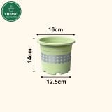  Chậu nhựa trồng cây VIETPOT, size 16x14, hoa văn tim, trồng kiểng lá, hoa hồng, để bàn, vườn. 