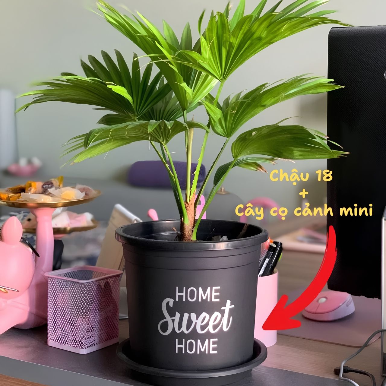  Chậu nhựa trồng cây VIETPOT, màu đen, hoa văn Sweet Home, trồng hoa kiểng lá, để nhà, sân vườn. 