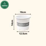  Chậu Nhựa Trồng Cây VIETPOT, size 16x14 Montario, trồng kiểng lá hoa hồng, trang trí sân vườn. 