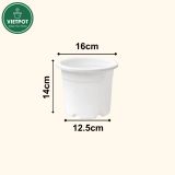  Chậu nhựa trồng cây VIETPOT, size 16x14, Trơn, kiểng lá, hoa hồng, để bàn, trang trí sân vườn. 