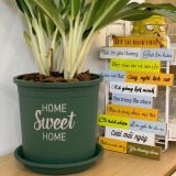  Chậu nhựa trồng cây VIETPOT, màu xanh, hoa văn Sweet Home, trồng hoa kiểng lá, để nhà, sân vườn. 