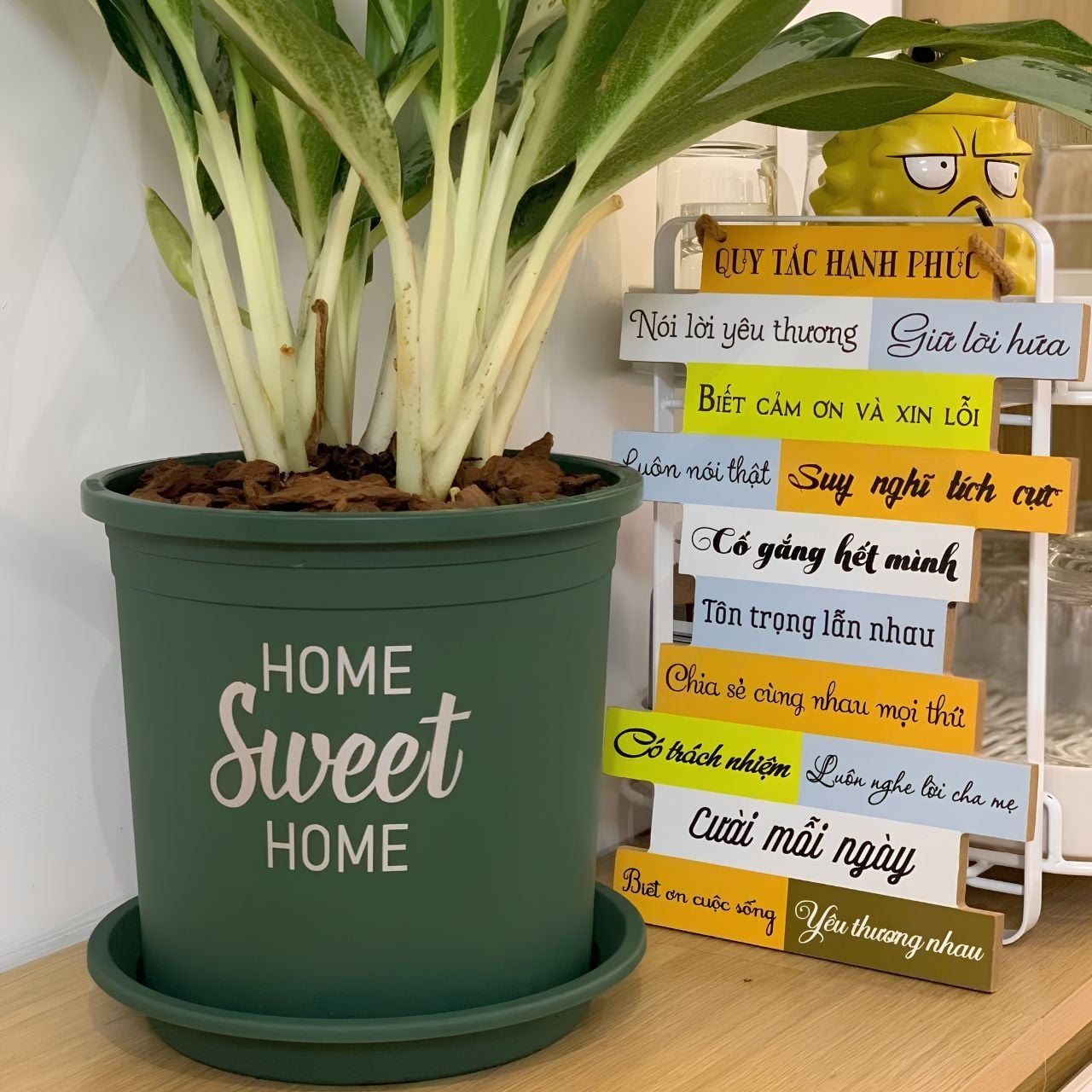  Chậu nhựa trồng cây VIETPOT, màu xanh, hoa văn Sweet Home, trồng hoa kiểng lá, để nhà, sân vườn. 