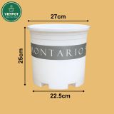  Chậu Nhựa Trồng Cây VIETPOT, màu trắng MONTARIO, kiểng lá, hoa hồng, để bàn, ban công,sân vườn 