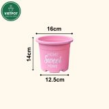  Chậu nhựa trồng cây VIETPOT, size 16x14cm, Sweet Home, hoa hồng, kiểng lá, để bàn, sân vườn. 