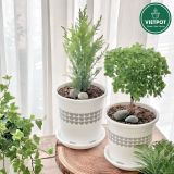  Chậu nhựa trồng cây VIETPOT, màu Trắng Tim, trồng kiểng lá, hoa hồng, trang trí ban công, sân vườn. 