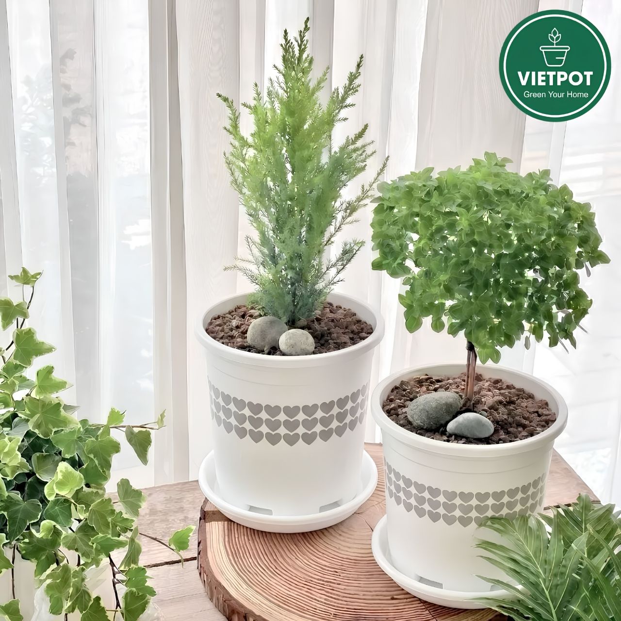  Chậu nhựa trồng cây VIETPOT, màu Trắng Tim, trồng kiểng lá, hoa hồng, trang trí ban công, sân vườn. 