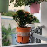  Chậu nhựa trồng cây VIETPOT, màu Cam Tim, trồng hoa kiểng, hoa hồng, để bàn, ban công, sân vườn. 