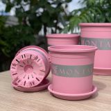  Chậu nhựa trồng cây VIETPOT, màu hồng MONTARIO, trồng hoa kiểng, hoa hồng, ban công, sân vườn 