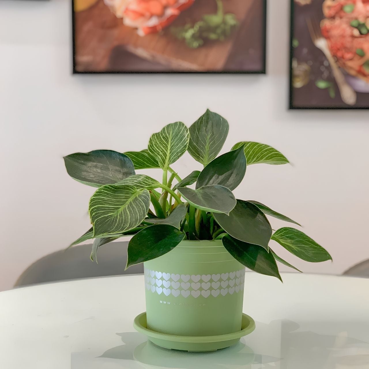  Chậu nhựa trồng cây VIETPOT, xanh Mint hoa văn tim, kiểng lá, hoa hồng, để bàn,ban công sân vườn. 