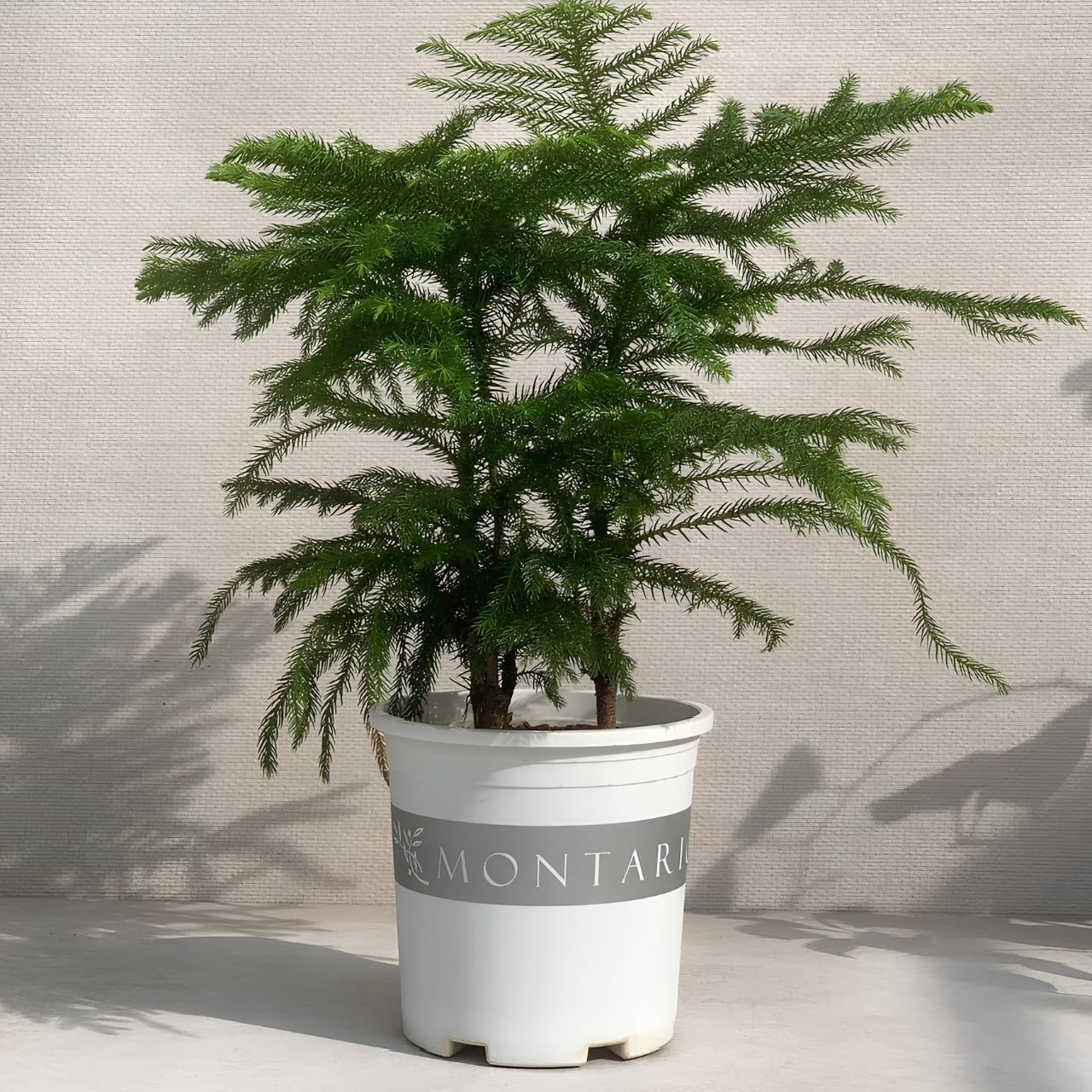  Chậu Nhựa Trồng Cây VIETPOT, màu trắng MONTARIO, kiểng lá, hoa hồng, để bàn, ban công,sân vườn 