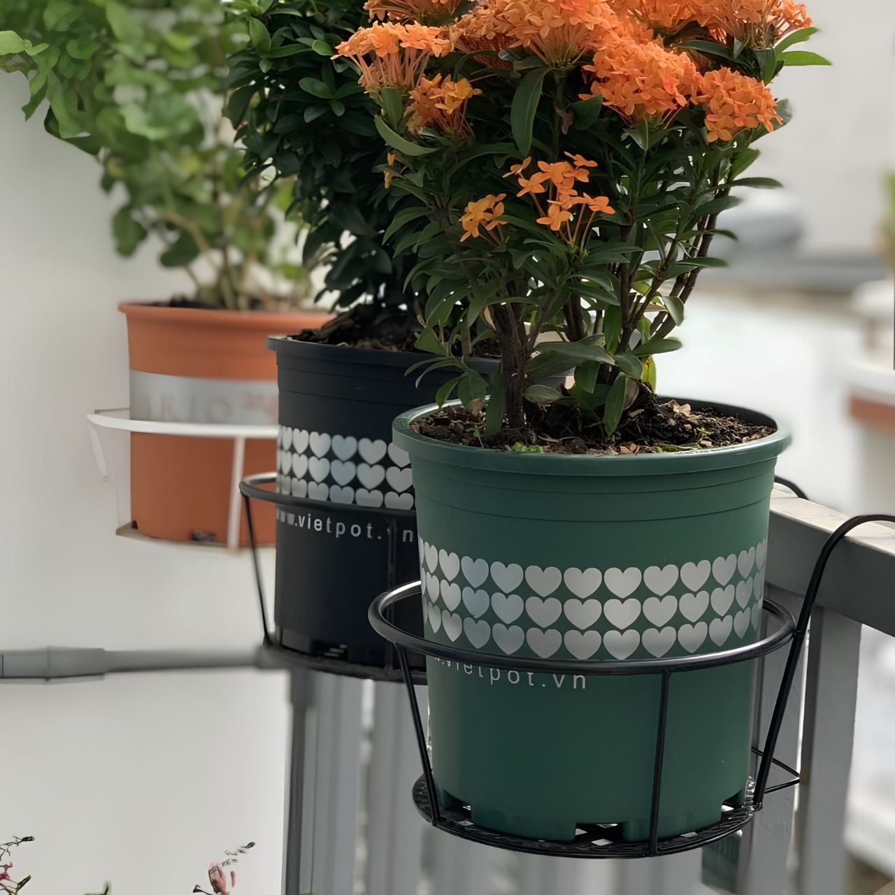  Chậu nhựa trồng cây VIETPOT, màu Cam Tim, trồng hoa kiểng, hoa hồng, để bàn, ban công, sân vườn. 