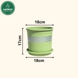  Chậu nhựa trồng cây VIETPOT, xanh Mint hoa văn tim, kiểng lá, hoa hồng, để bàn,ban công sân vườn. 
