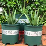  Chậu nhựa trồng cây VIETPOT, màu xanh MONTARIO, để ban công, sân vườn, trồng các loại cây hoa. 