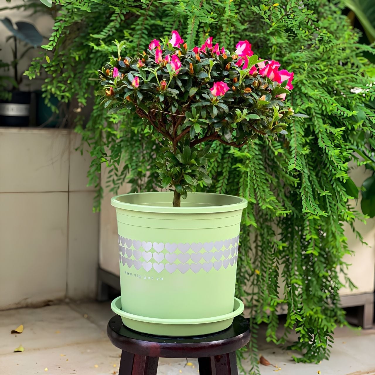  Chậu nhựa trồng cây VIETPOT, xanh Mint hoa văn tim, kiểng lá, hoa hồng, để bàn,ban công sân vườn. 