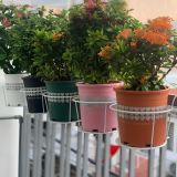  Chậu nhựa trồng cây VIETPOT, màu Cam Tim, trồng hoa kiểng, hoa hồng, để bàn, ban công, sân vườn. 