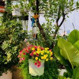  Chậu Nhựa Trồng Cây VIETPOT, xanh Mint MONTARIO, kiểng lá, hoa hồng, để bàn,ban công,sân vườn 