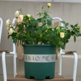  Chậu nhựa trồng cây VIETPOT, màu xanh MONTARIO, để ban công, sân vườn, trồng các loại cây hoa. 