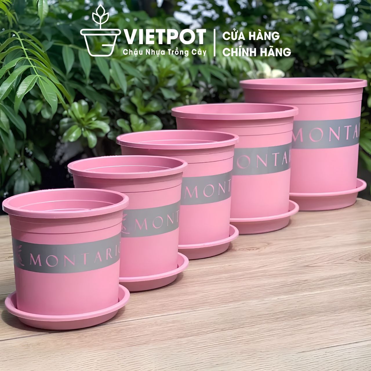  Chậu nhựa trồng cây VIETPOT, màu hồng MONTARIO, trồng hoa kiểng, hoa hồng, ban công, sân vườn 