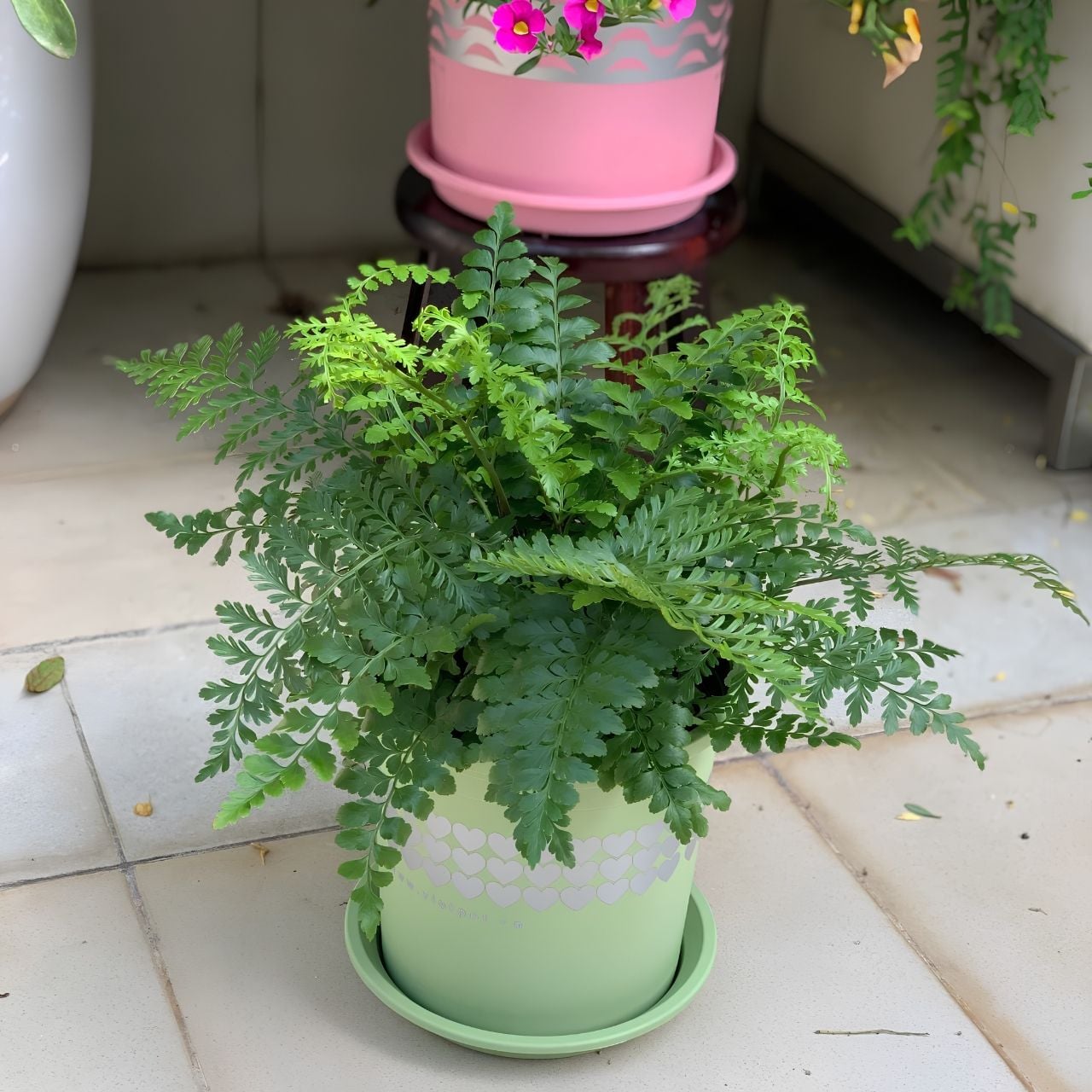 Chậu nhựa trồng cây VIETPOT, xanh Mint hoa văn tim, kiểng lá, hoa hồng, để bàn,ban công sân vườn. 
