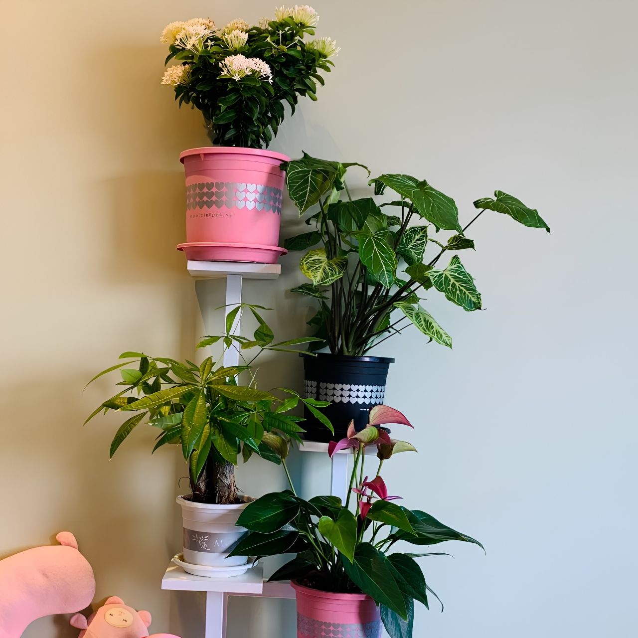  Chậu nhựa trồng cây VIETPOT, màu Đen Tim, trồng hoa kiểng, trang trí ban công, sân vườn, sân thượng 