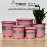  Chậu nhựa trồng cây VIETPOT, màu hồng tim, trồng kiểng lá, hoa hồng, trang trí ban công, sân vườn. 