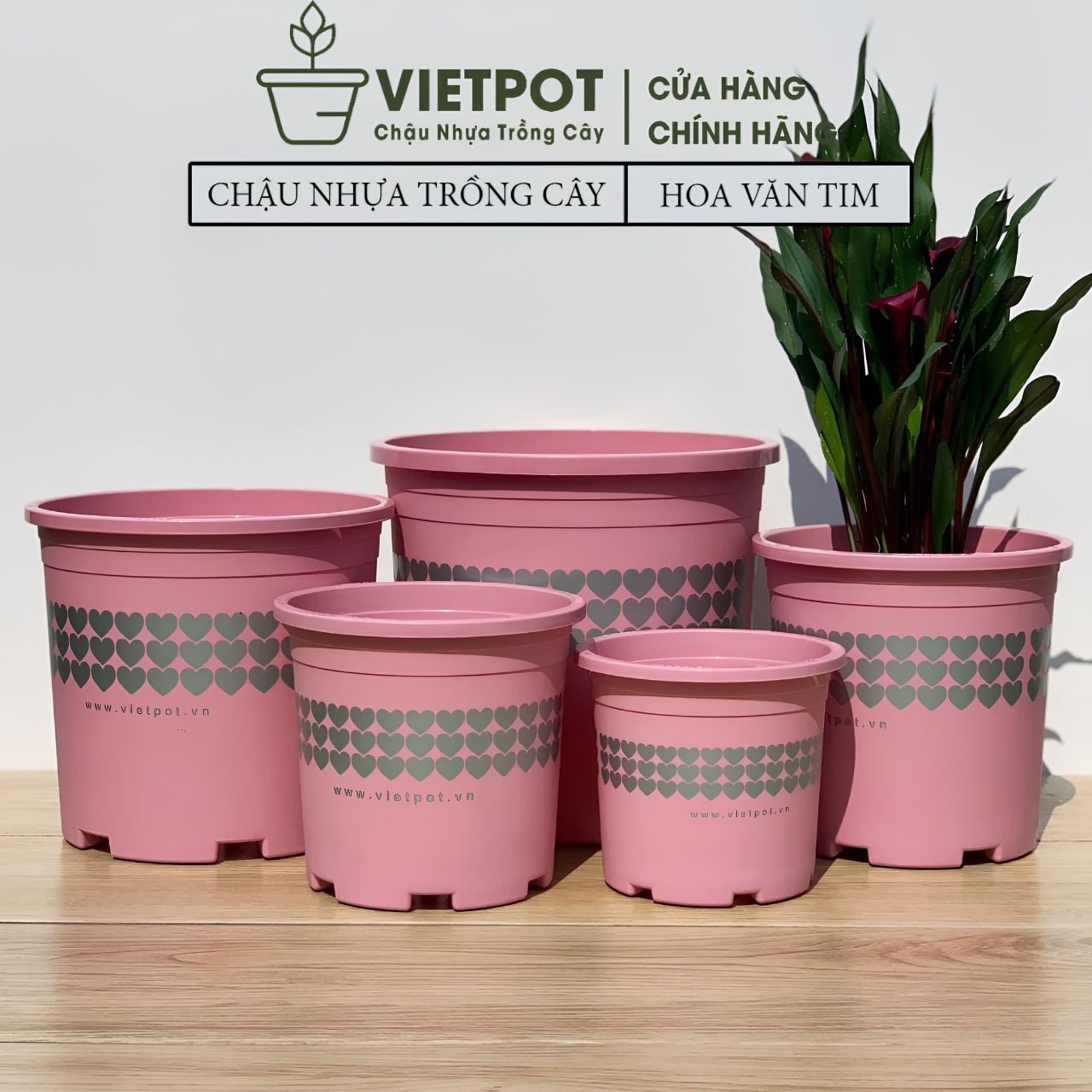  Chậu nhựa trồng cây VIETPOT, màu hồng tim, trồng kiểng lá, hoa hồng, trang trí ban công, sân vườn. 