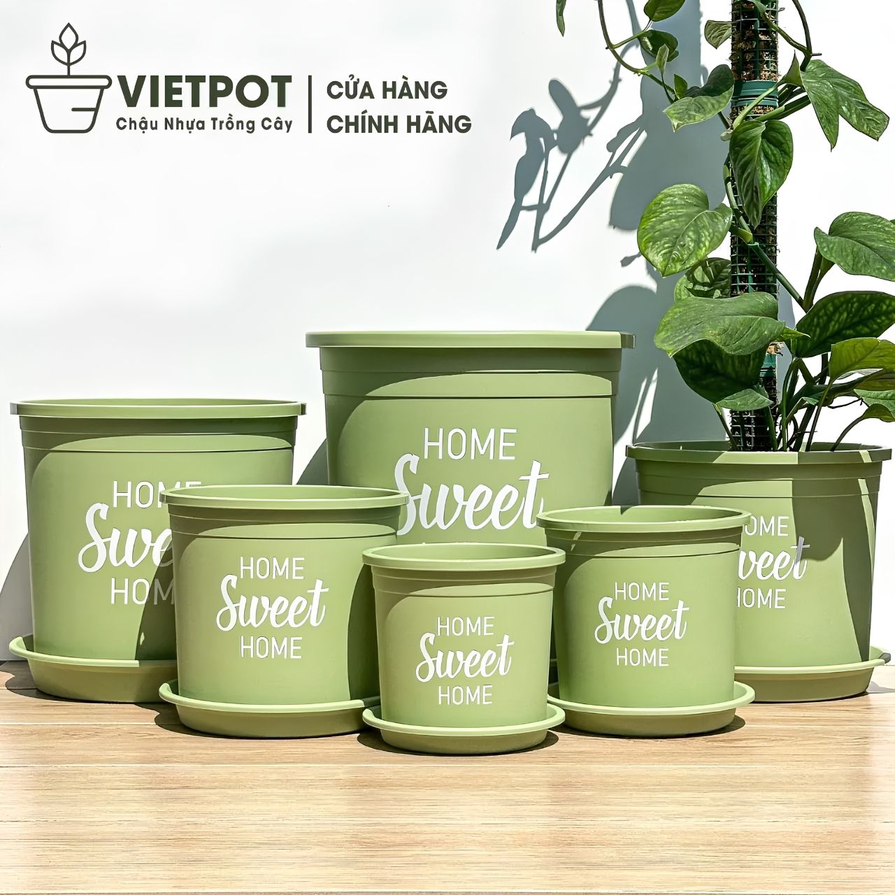  Chậu nhựa trồng cây VIETPOT, màu xanh Mint, hoa văn Sweet Home, trồng hoa kiểng lá, để nhà sân vườn. 