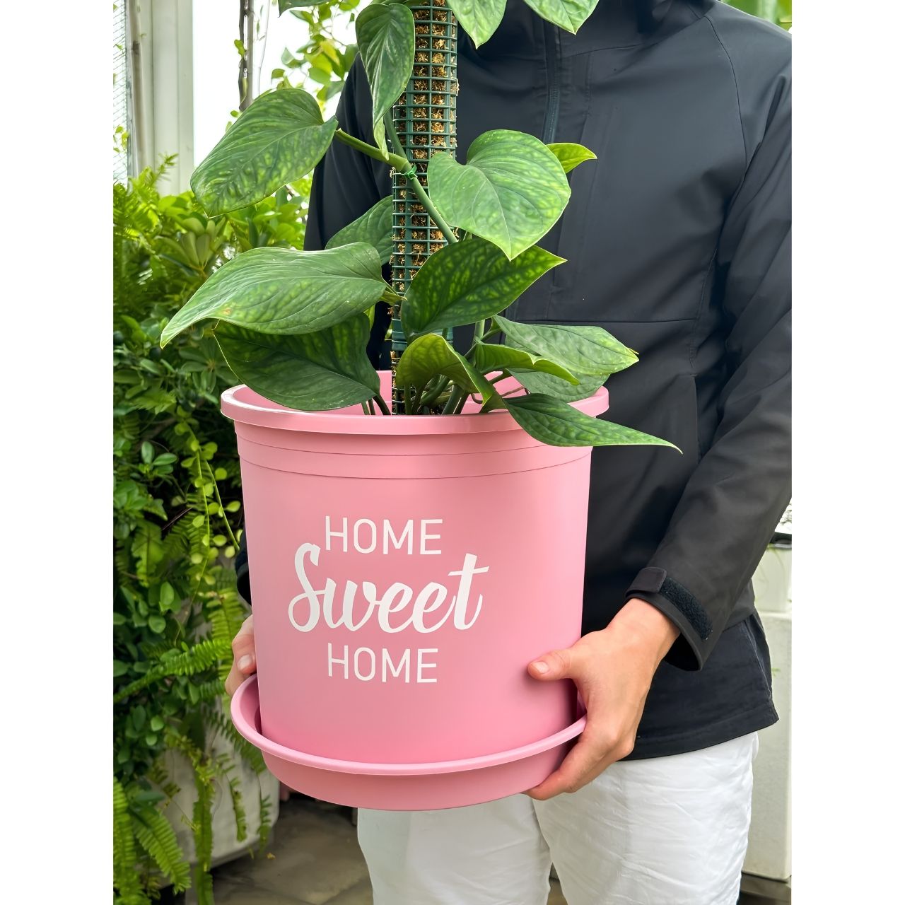  Chậu nhựa trồng cây VIETPOT, màu hồng, hoa văn Sweet Home, trồng hoa kiểng lá, để nhà, sân vườn. 