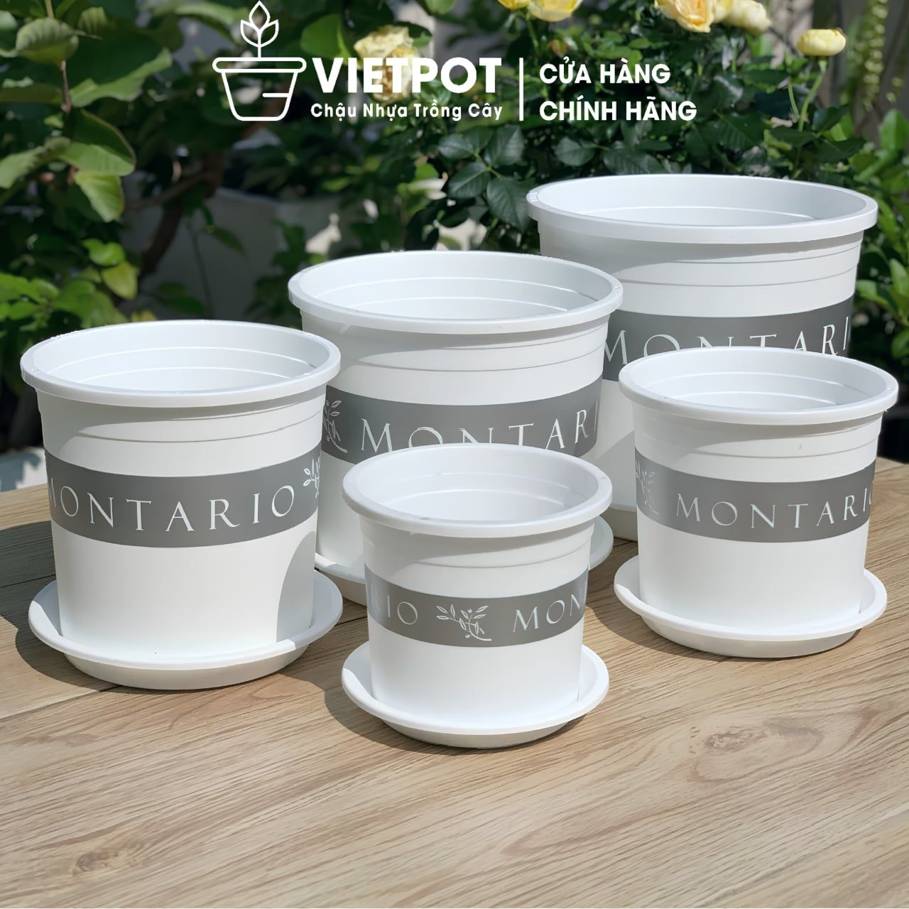  Chậu Nhựa Trồng Cây VIETPOT, màu trắng MONTARIO, kiểng lá, hoa hồng, để bàn, ban công,sân vườn 