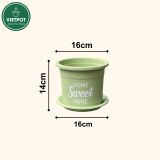  Chậu nhựa trồng cây VIETPOT, size 16x14cm, Sweet Home, hoa hồng, kiểng lá, để bàn, sân vườn. 