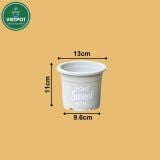  Chậu nhựa trồng cây VIETPOT, size nhỏ 13x11cm, Sweet Home, trồng hoa kiểng, để sân vườn, bàn. 