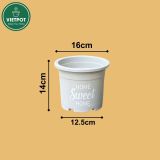 Chậu nhựa trồng cây VIETPOT, size 16x14cm, Sweet Home, hoa hồng, kiểng lá, để bàn, sân vườn. 