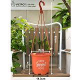  Chậu nhựa treo ban công VIETPOT, hoa văn sweet home, cây kiểng, cây hoa, trang trí sân vườn. 