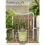  Chậu nhựa treo ban công VIETPOT, hoa văn sweet home, cây kiểng, cây hoa, trang trí sân vườn. 