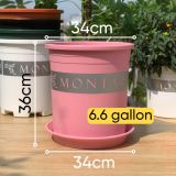  Chậu Nhựa Trồng Cây VIETPOT, size lớn 34x36cm MONTARIO, 6,6gallon, trang trí bàn, sân vườn, ban công 