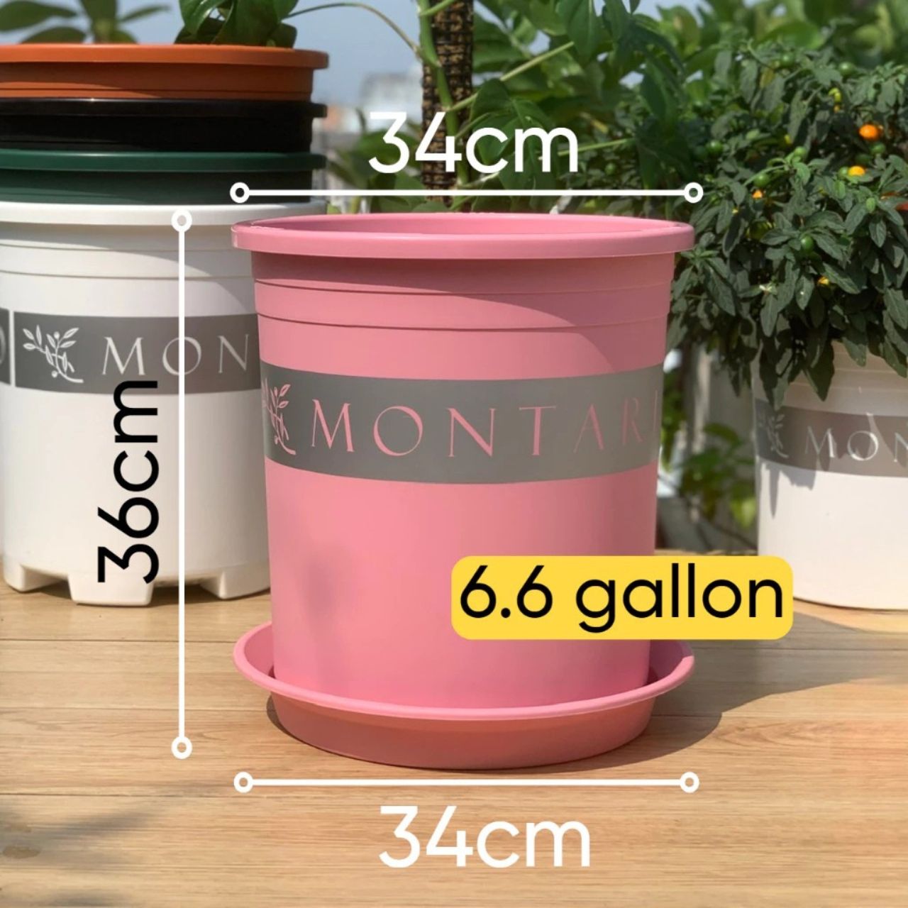  Chậu Nhựa Trồng Cây VIETPOT, size lớn 34x36cm MONTARIO, 6,6gallon, trang trí bàn, sân vườn, ban công 