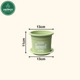  Chậu nhựa trồng cây VIETPOT, size nhỏ 13x11cm, Sweet Home, trồng hoa kiểng, để sân vườn, bàn. 
