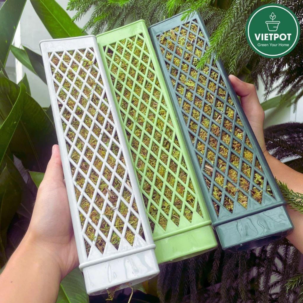  Trụ rêu bán nguyệt cao cấp VIETPOT, 30x7cm, hỗ trợ rễ phát triển, cho cây kiểng lá, kiểng lá leo 