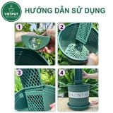  Trụ rêu bán nguyệt cao cấp VIETPOT, Size 30x10cm, hỗ trợ rễ phát triển, cây kiểng lá, kiểng lá leo. 