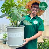  Chậu nhựa trồng cây VIETPOT, màu xám Montario, trồng hoa kiểng, trang trí ban công, sân vườn. 