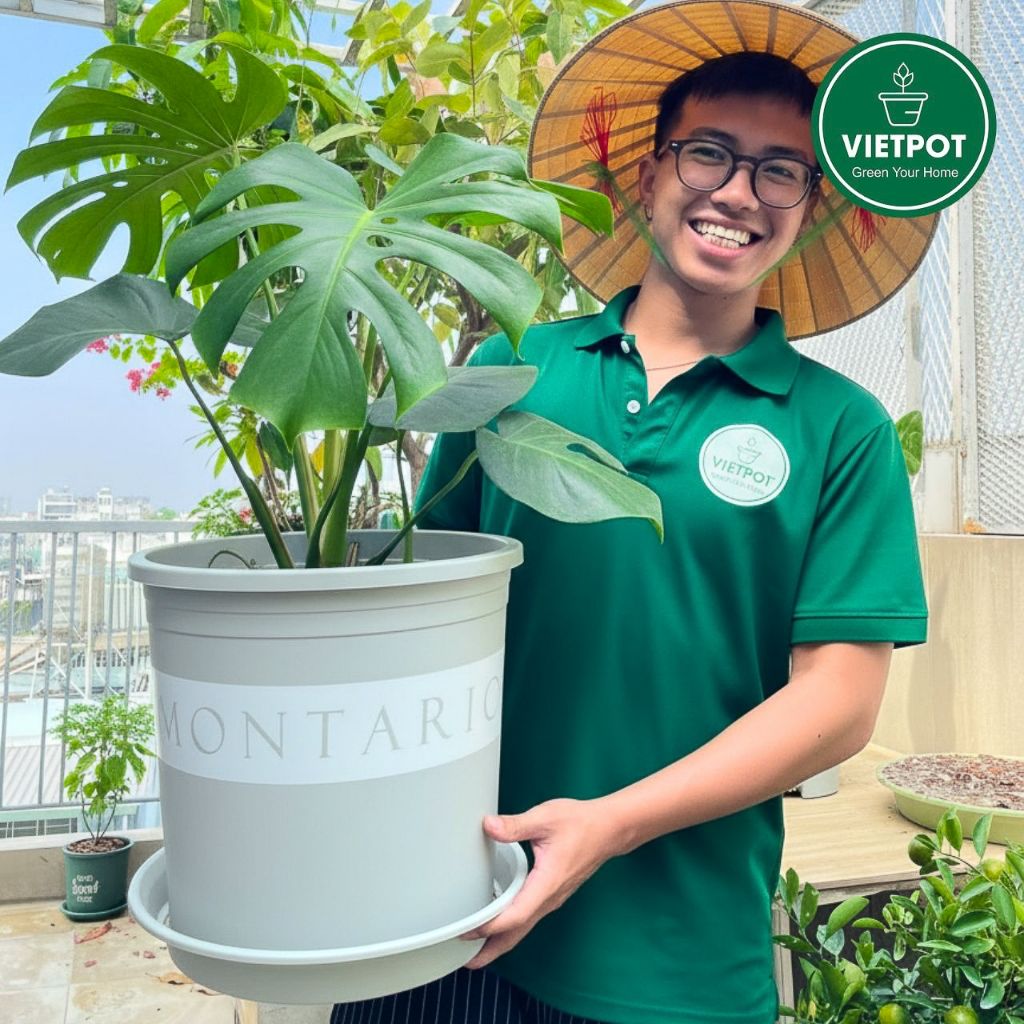  Chậu nhựa trồng cây VIETPOT, màu xám Montario, trồng hoa kiểng, trang trí ban công, sân vườn. 