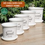  Chậu nhựa trồng cây VIETPOT, màu trắng, hoa văn Sweet Home, trồng hoa kiểng lá, để nhà, sân vườn. 