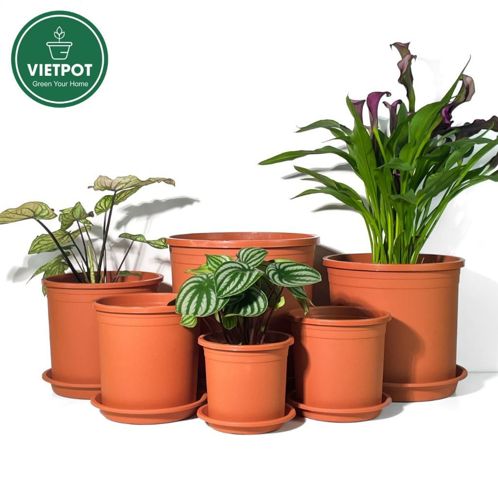  Chậu nhựa trồng cây VIETPOT, màu Cam Trơn, trồng kiểng lá, hoa hồng, để ban công, sân vườn. 