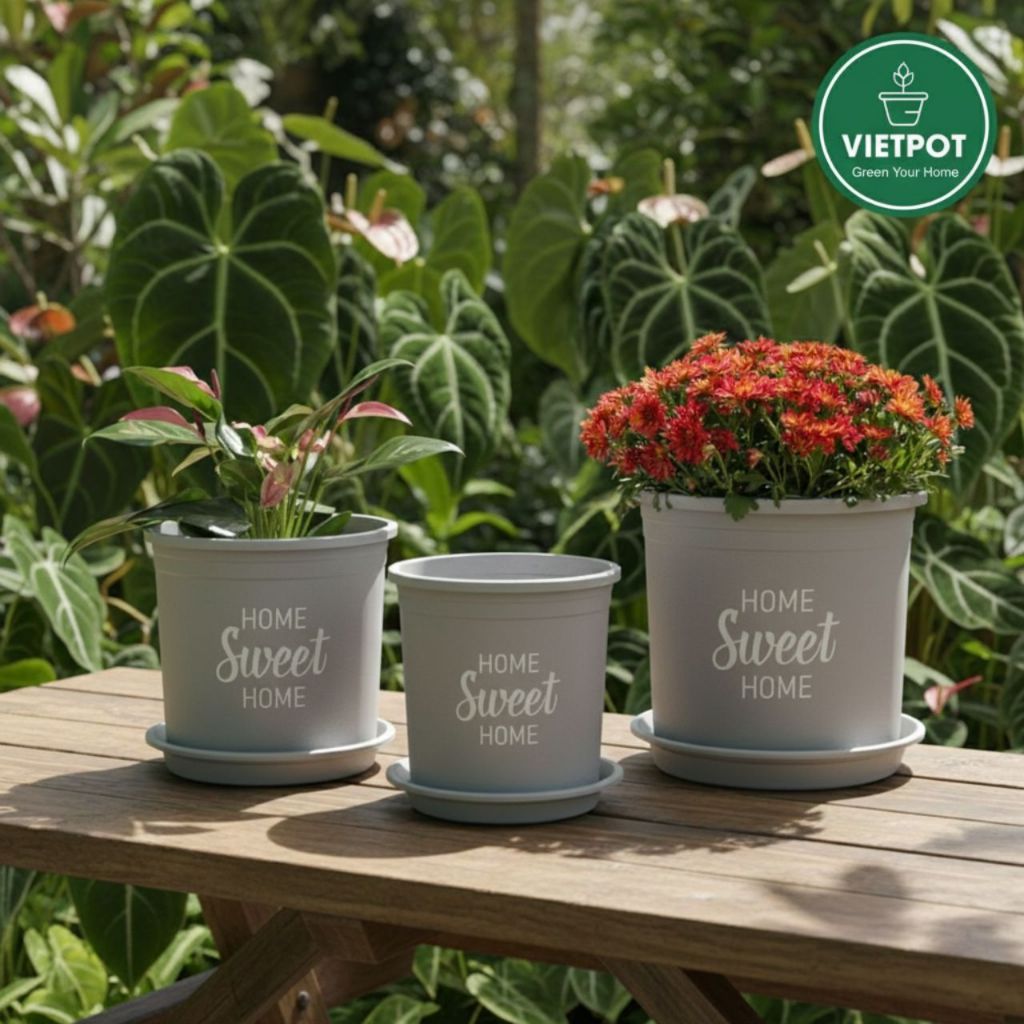  Chậu nhựa trồng cây VIETPOT, màu xám, hoa văn Sweet Home, trồng hoa kiểng lá, để nhà, sân vườn. 