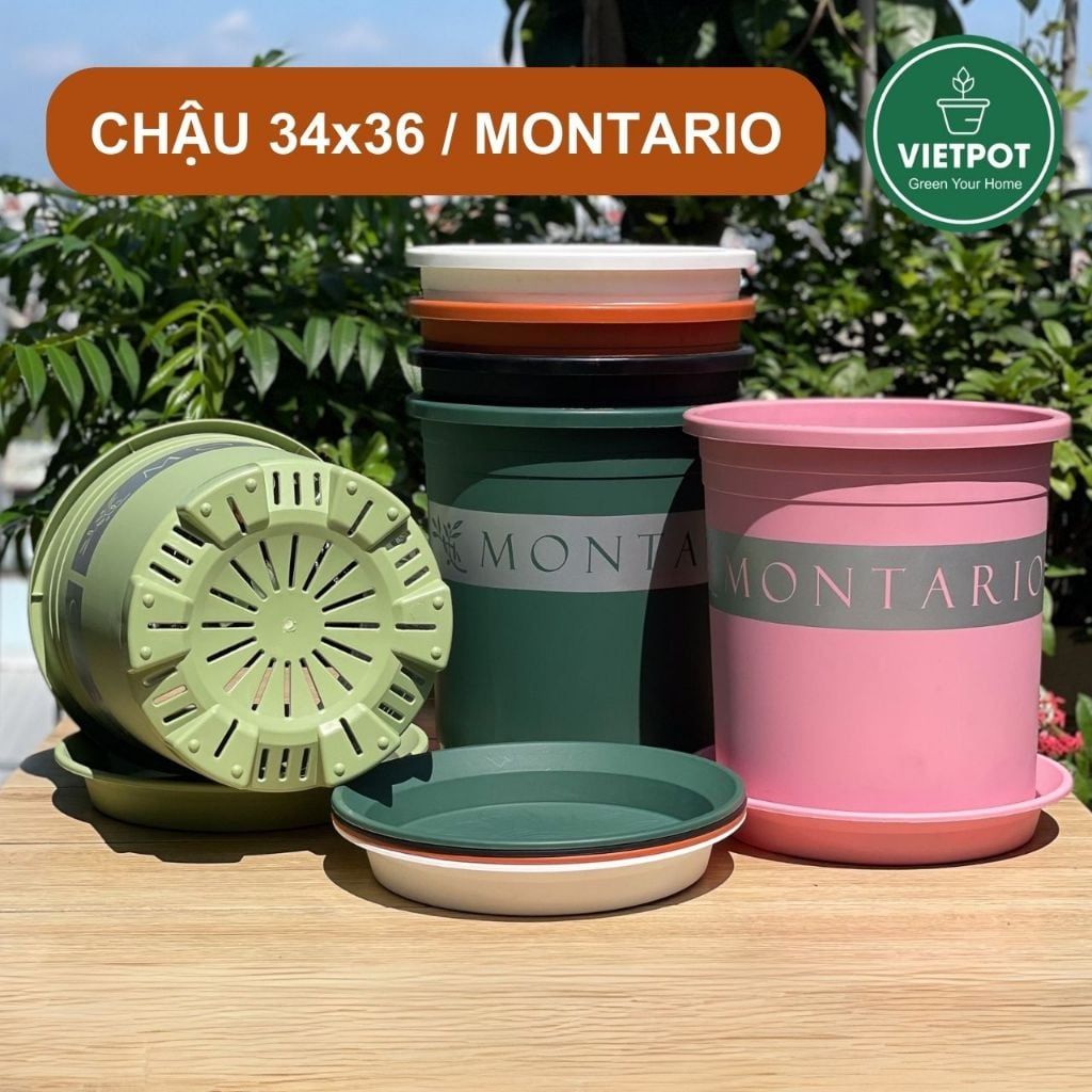  Chậu Nhựa Trồng Cây VIETPOT, size lớn 34x36cm MONTARIO, 6,6gallon, trang trí bàn, sân vườn, ban công 