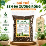  Giá thể sen đá xương rồng VIETPOT, Phối Trộn Sẵn, hỗ trợ thoát nước, giữ ẩm cực kì tốt, . 