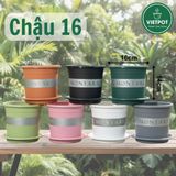  Chậu Nhựa Trồng Cây VIETPOT, size 16x14 Montario, trồng kiểng lá hoa hồng, trang trí sân vườn. 
